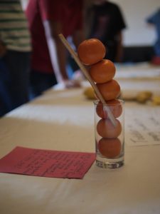 Feeding – Clifton Park September 3rd 2025